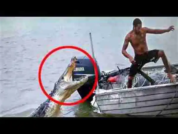 Video: DEADLIEST Creatures Found in Australia